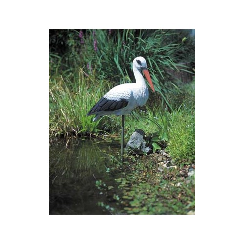 Stork 80 cm